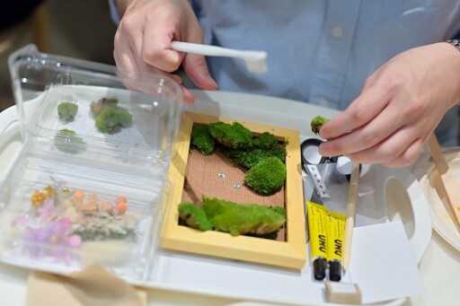 Volvo midsummer event (5)