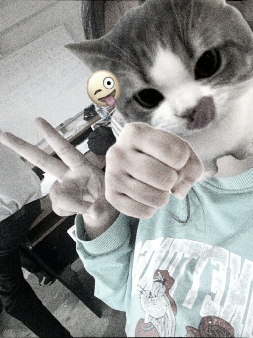 ืืืืืืื