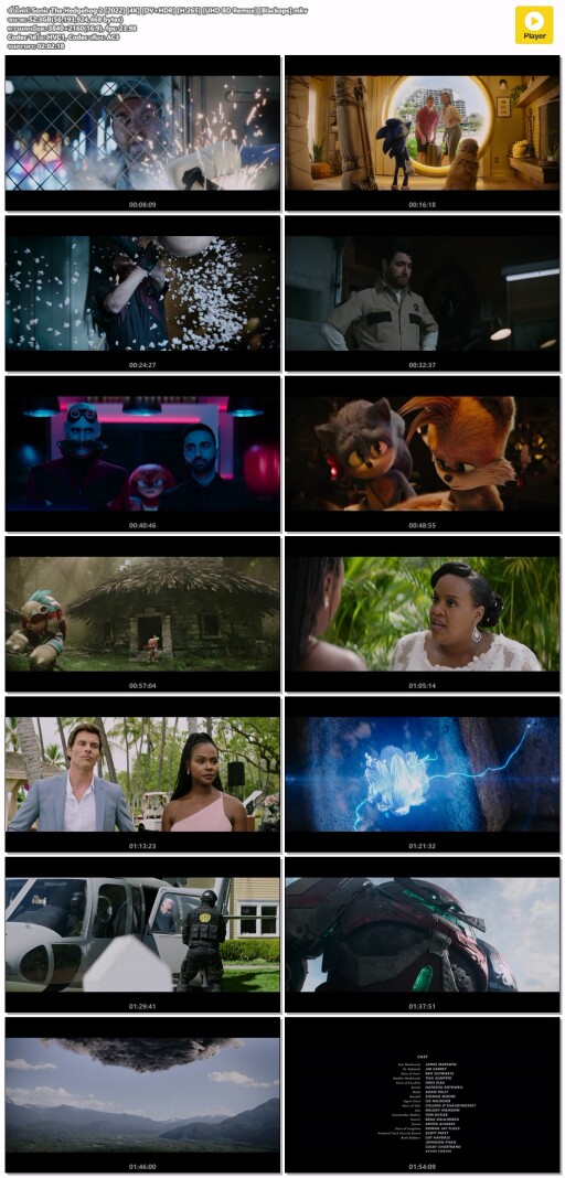 Sonic The Hedgehog 2 [2022] [4K] [DV+HDR] [H.265] [UHD BD Remux] [Blackops].mkv