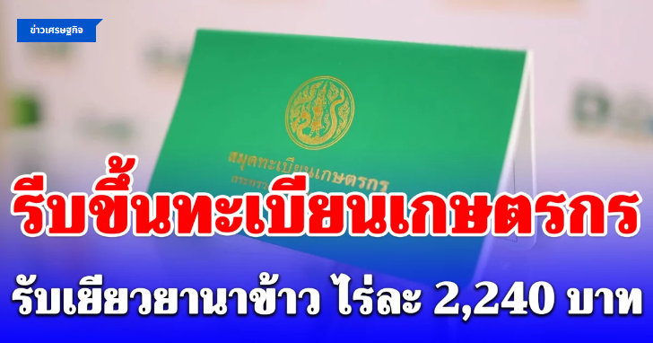 .ย้ำรีบขึ้นทะเบียนเกษตรกรรับเยียวยานาข้าว ช่วยไร่ละ 2,240 บาท.