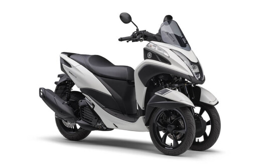 tricity color 002 2023 003